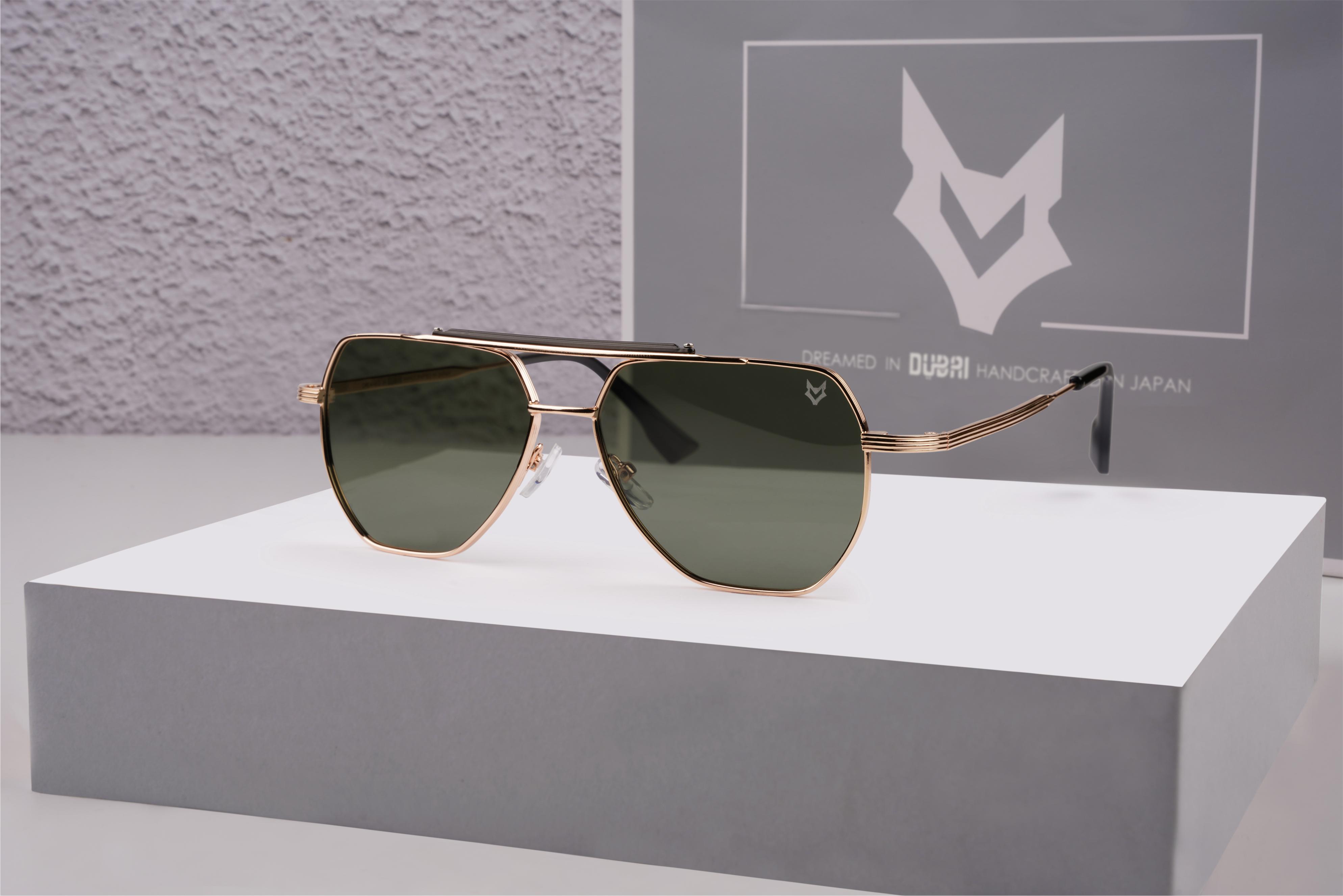 Brion 669835 C2 Polarised Sunglasses